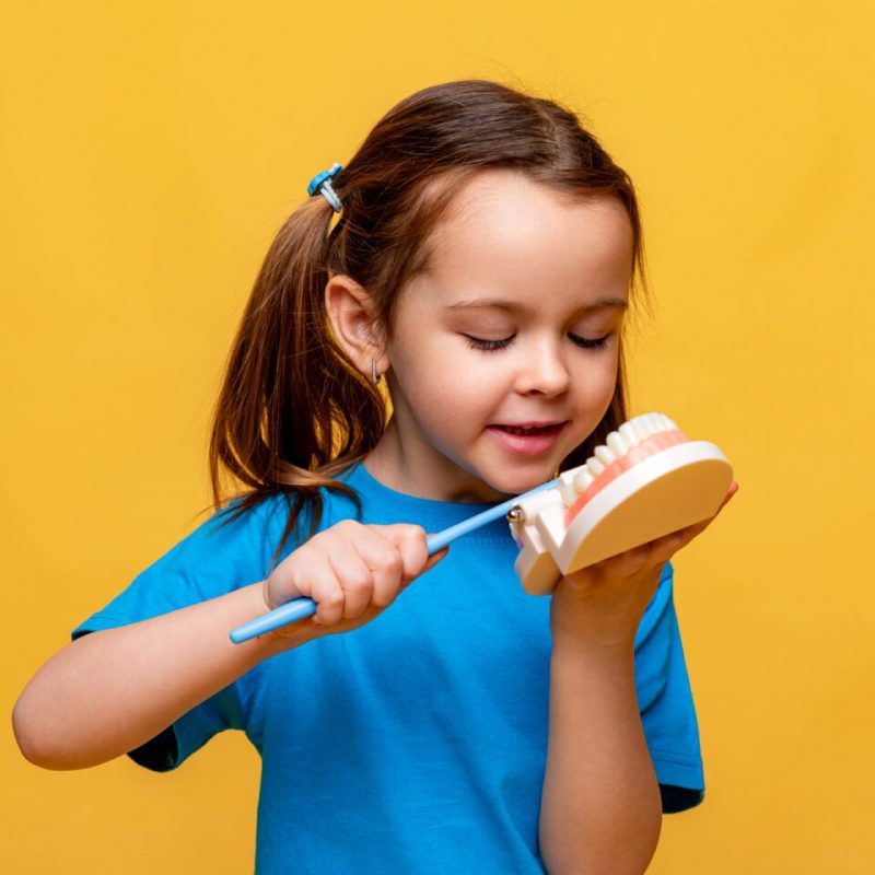 Little girl holding a model of a jaw with teeth and a toothbrush in her hands to demonstrate proper tooth brushing on yellow background. Children's dentistry. Children's teeth care. Copy space